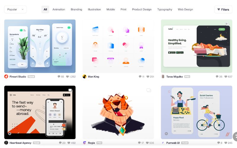 Team Elephant’s Best Website Design Inspirations - Dribbble